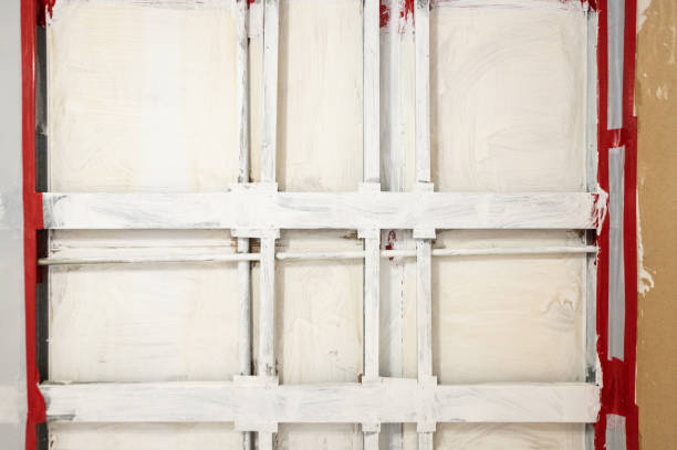 Best Commercial Mold Inspection  in Delphos, OH