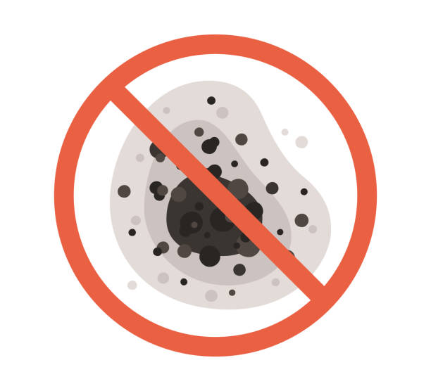 Best Mold Damage Restoration  in Delphos, OH